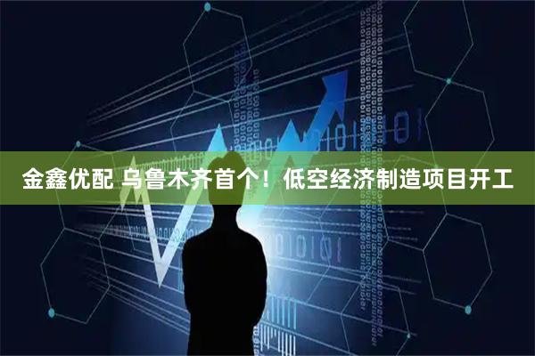金鑫优配 乌鲁木齐首个！低空经济制造项目开工